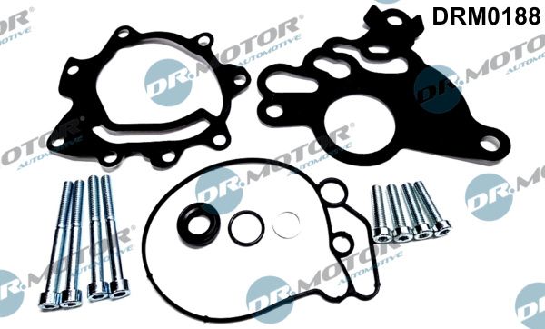 Repair Set, vacuum pump (braking system)