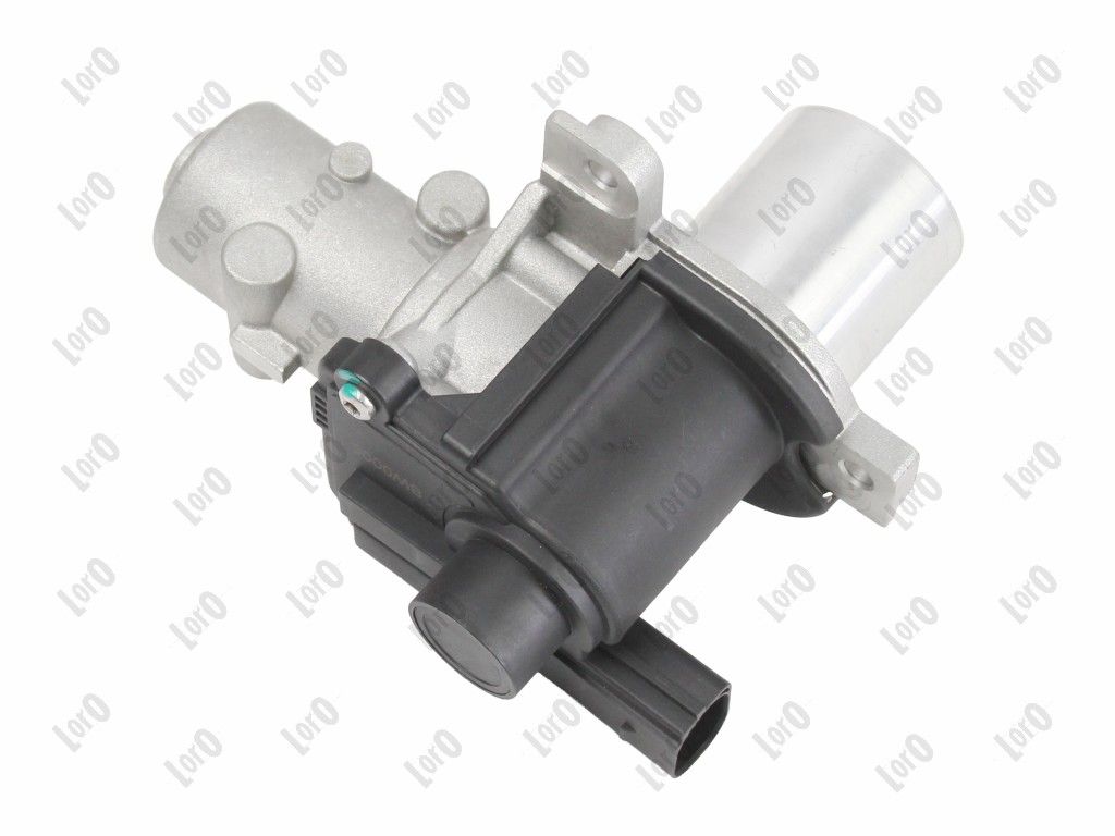 EGR Valve-1