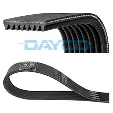 DAYCO 8PK900HD V-ribbed belt