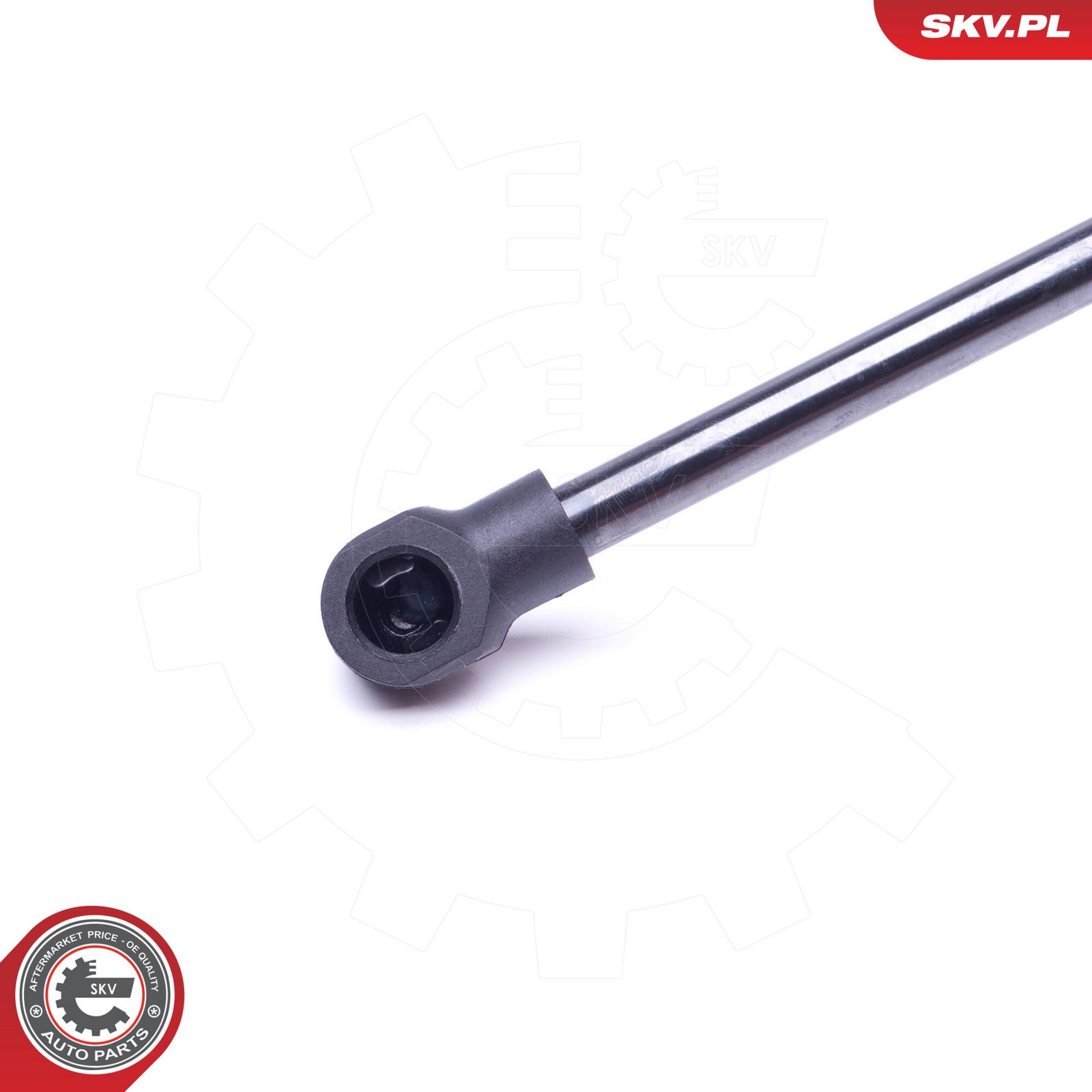 Gas Spring, bonnet-1