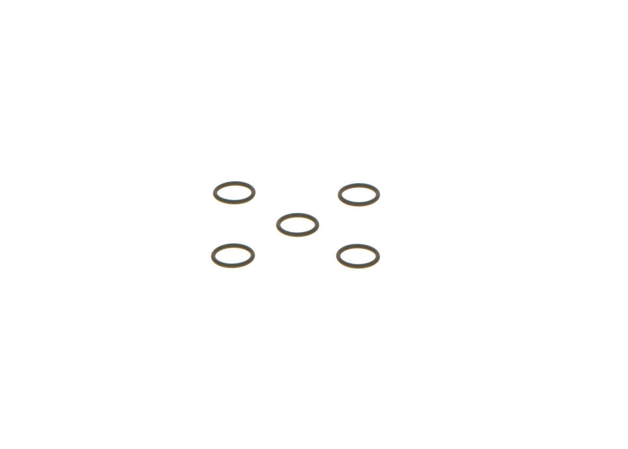 Seal Ring-5