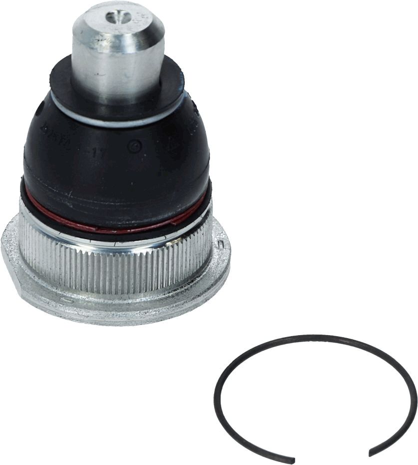 Šarnyras / girgždukas