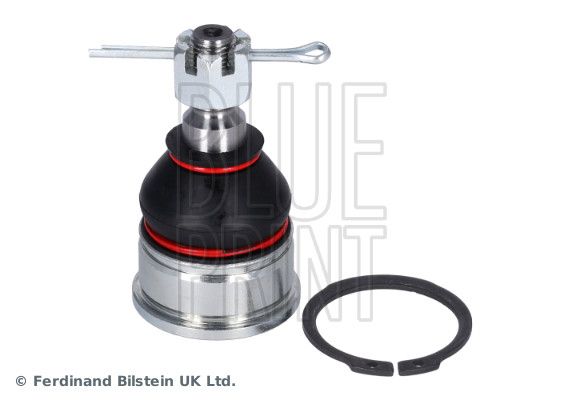 Šarnyras / girgždukas