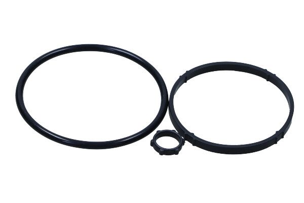 MAXGEAR 70-0143 Gasket set, oil cooler