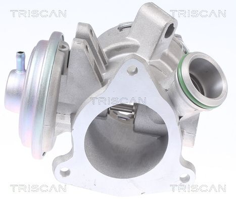 EGR Valve-1