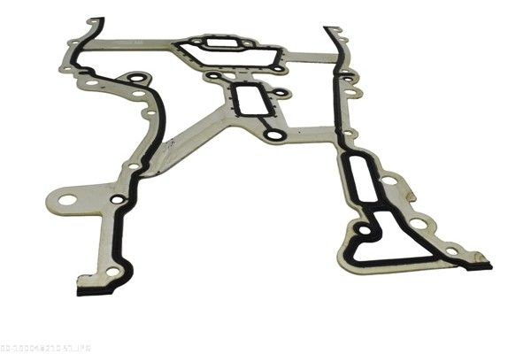 Gasket, timing case-1