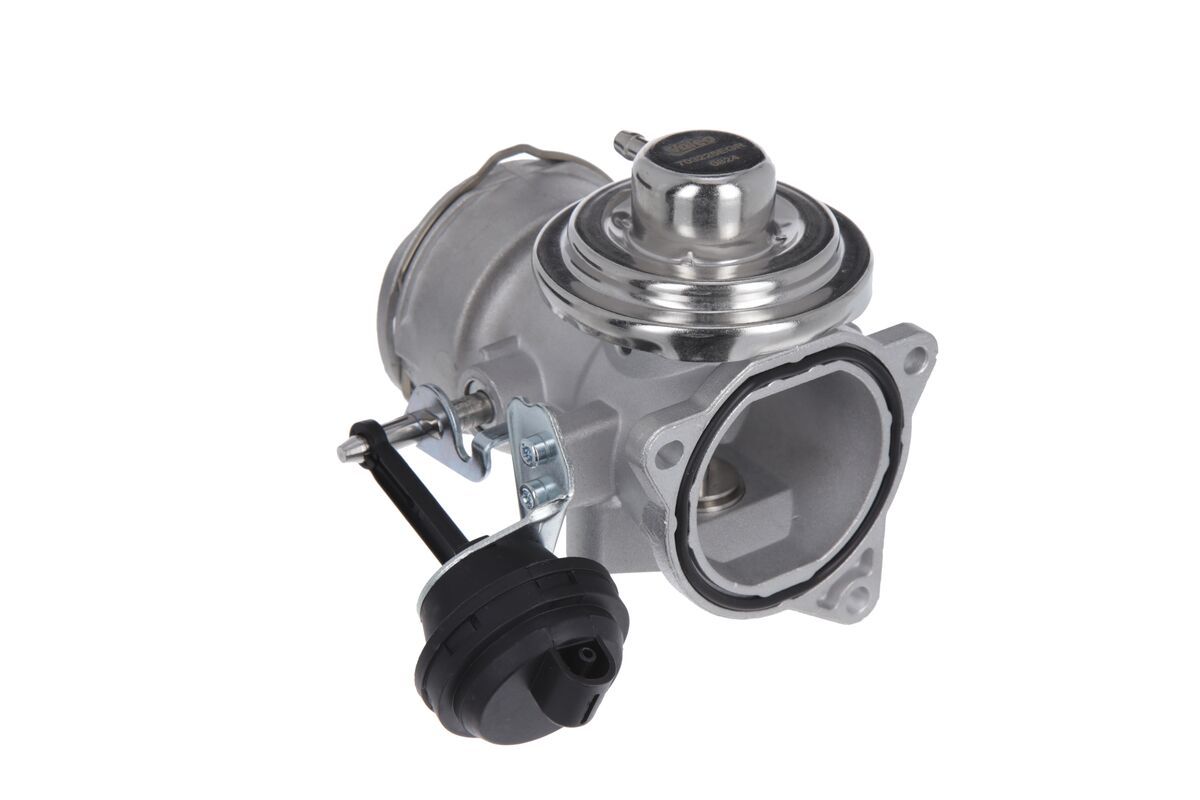 EGR Valve-2