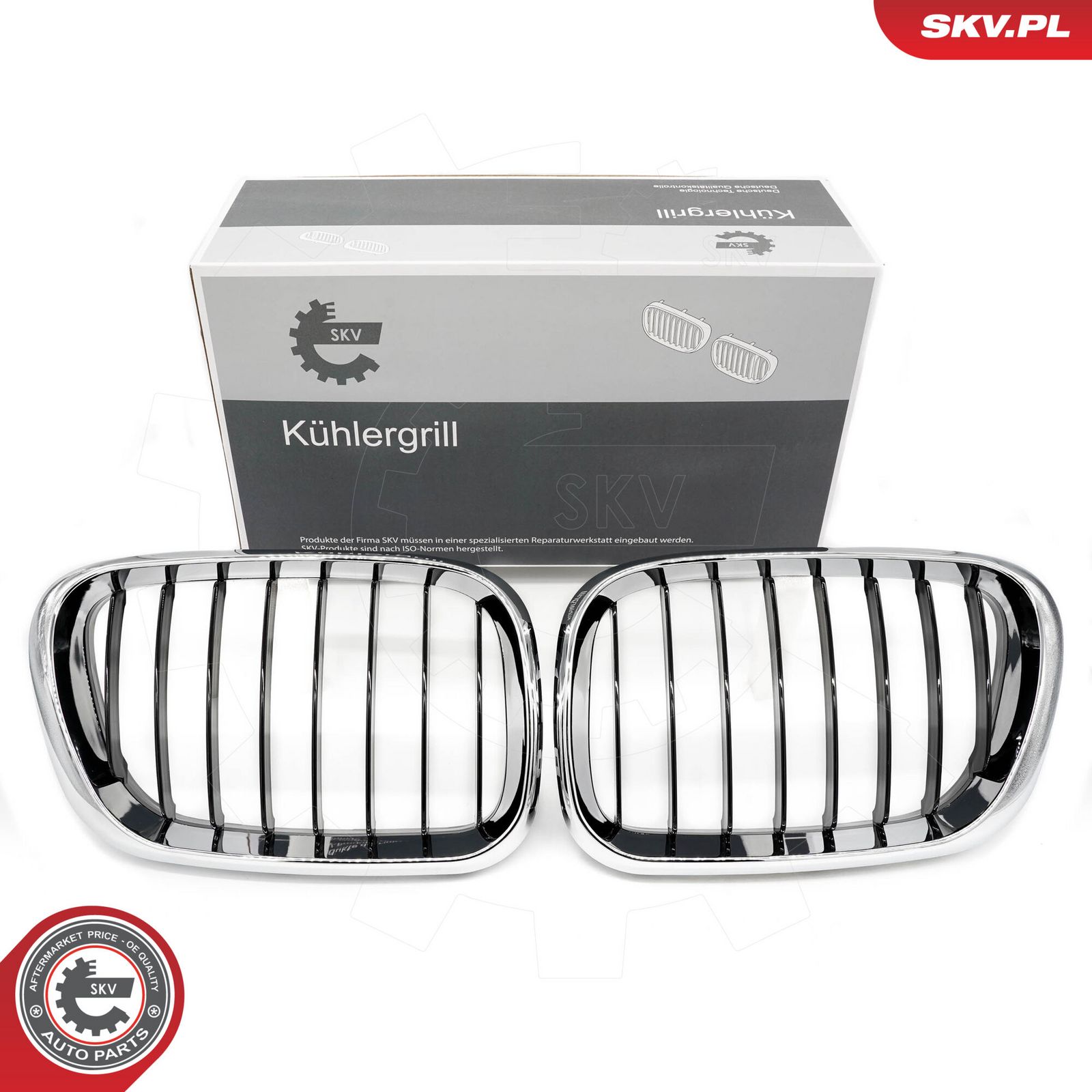 Radiator Grille-10