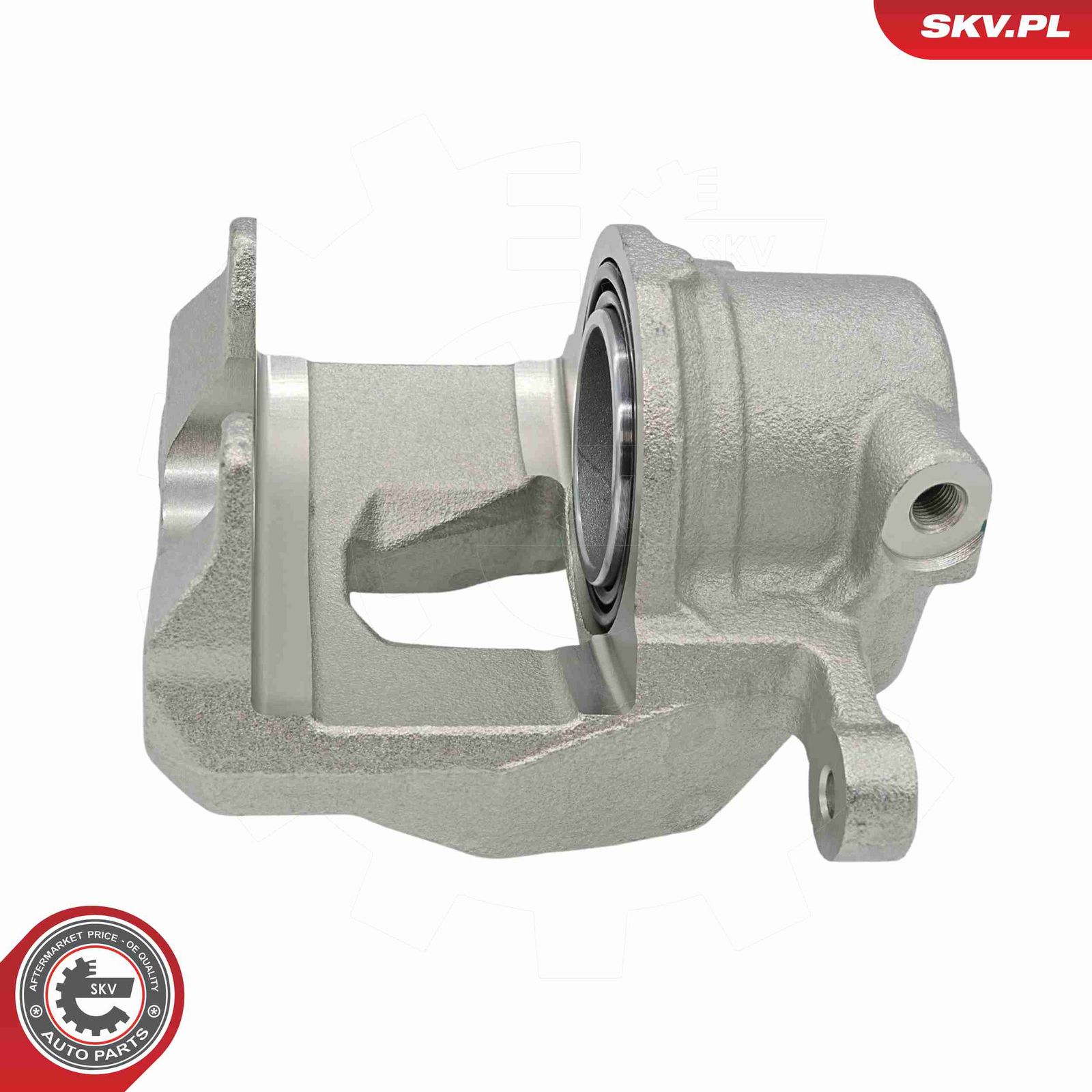 Brake Caliper-1