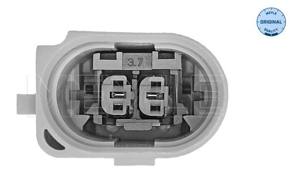Mounting, engine-2