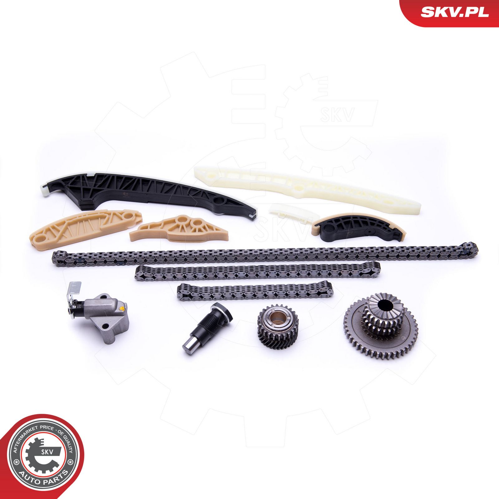 ESEN SKV 21SKV163 Timing chain kit