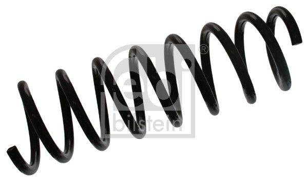 Suspension Spring-main