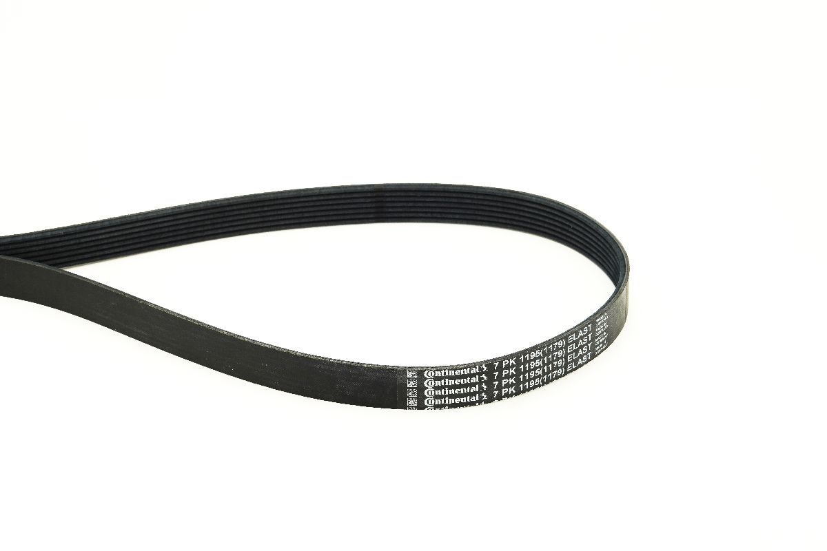CONTINENTAL CTAM 7PK1195 ELAST V-ribbed belt