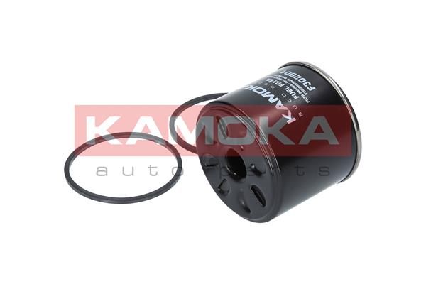 Fuel Filter-2