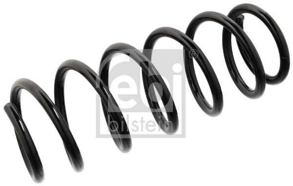 Suspension Spring-main