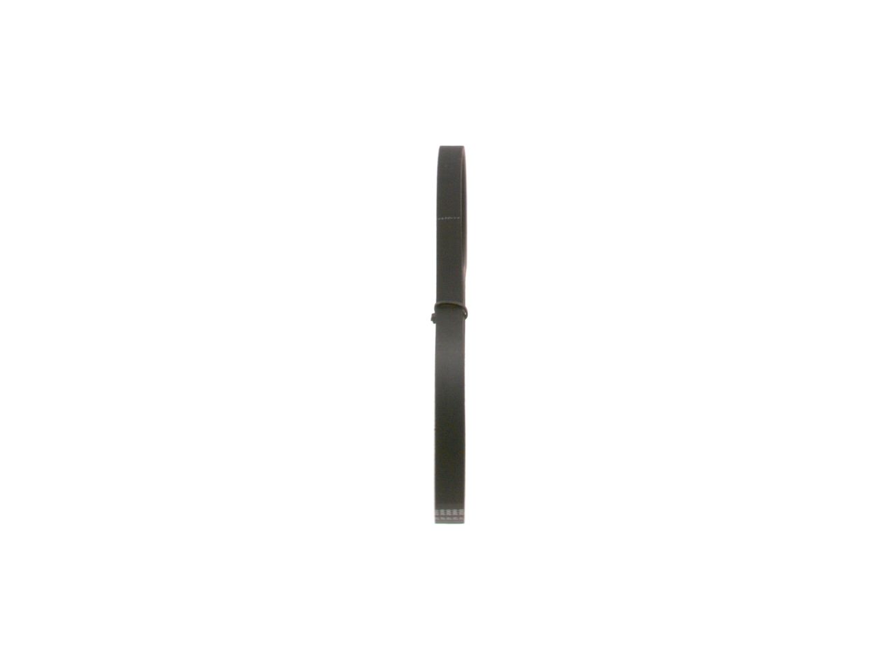V-ribbed Belt-1
