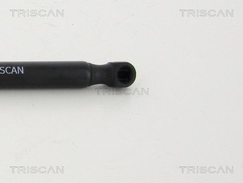 Gas Spring, boot/cargo area-1