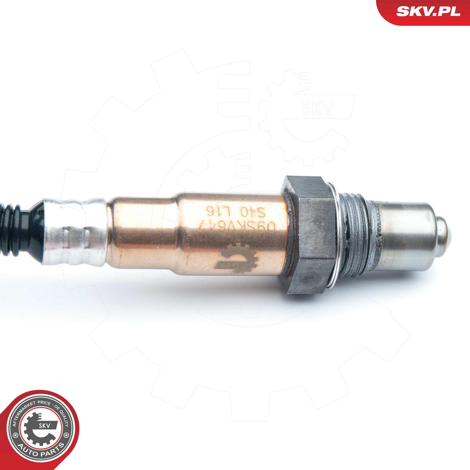 Oxygen Sensor-1