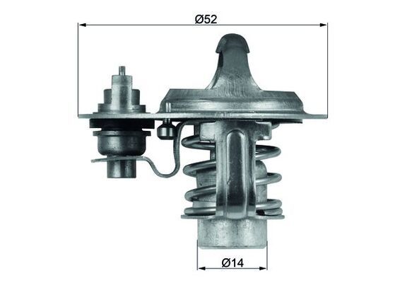 Thermostat, coolant