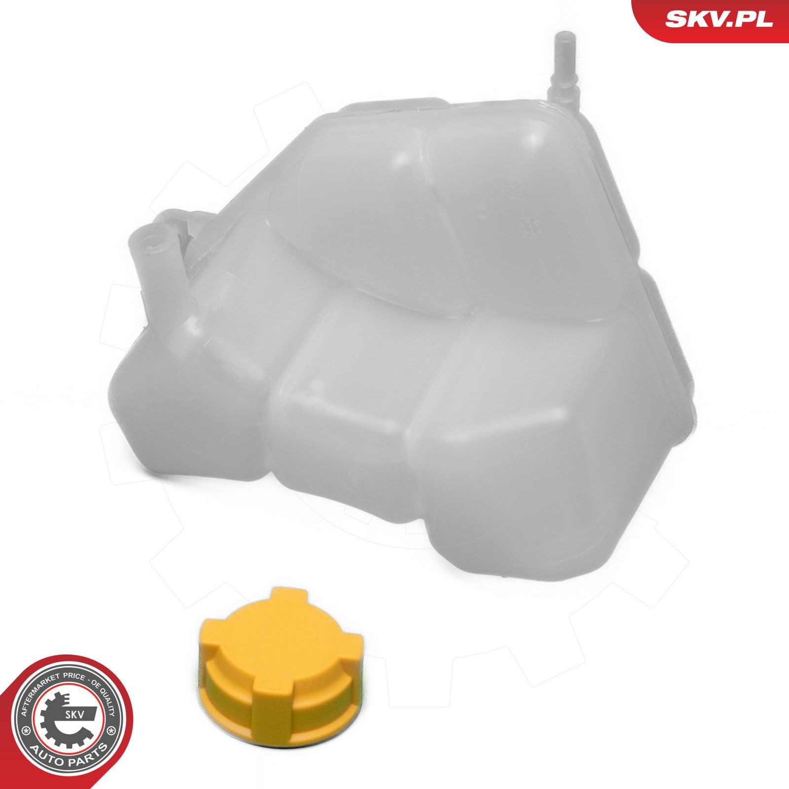 Expansion Tank, coolant-2