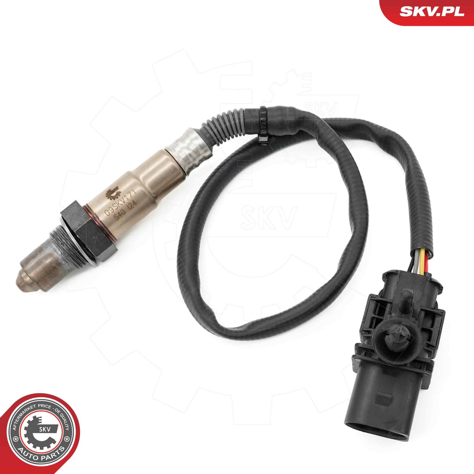 Oxygen Sensor-4