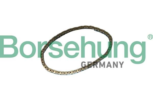 BORSEHUNG B12768 Timing chain