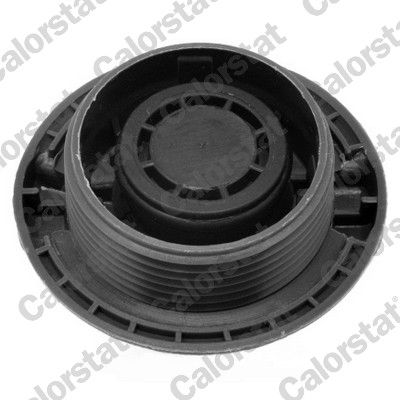 Cap, coolant tank-1