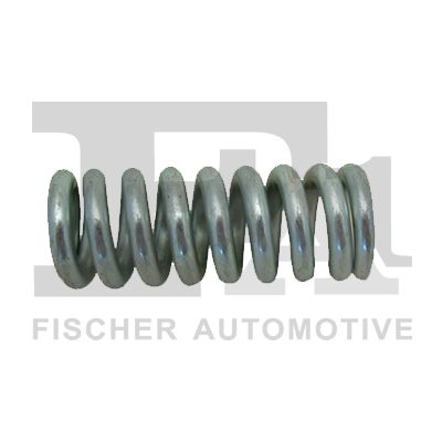 Spring, muffler
