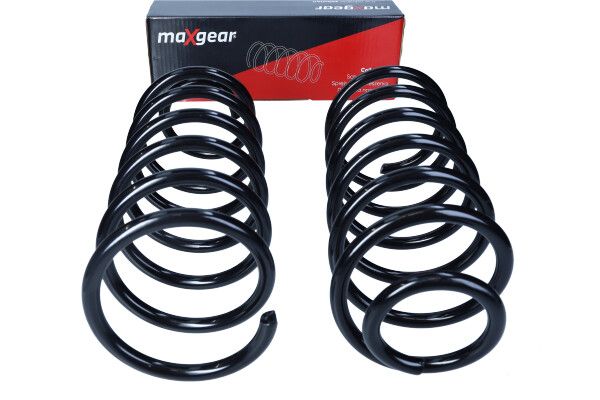 Suspension Spring-1