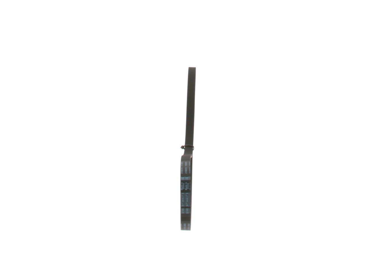 V-ribbed Belt-1