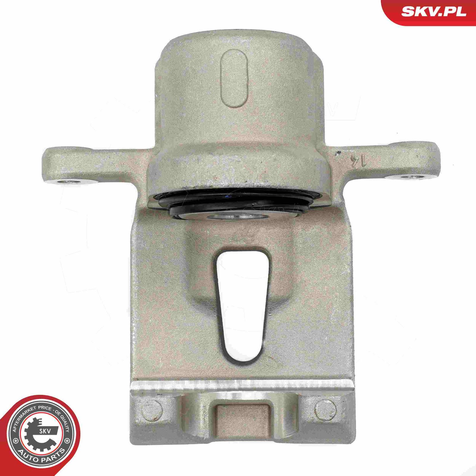 Brake Caliper-1