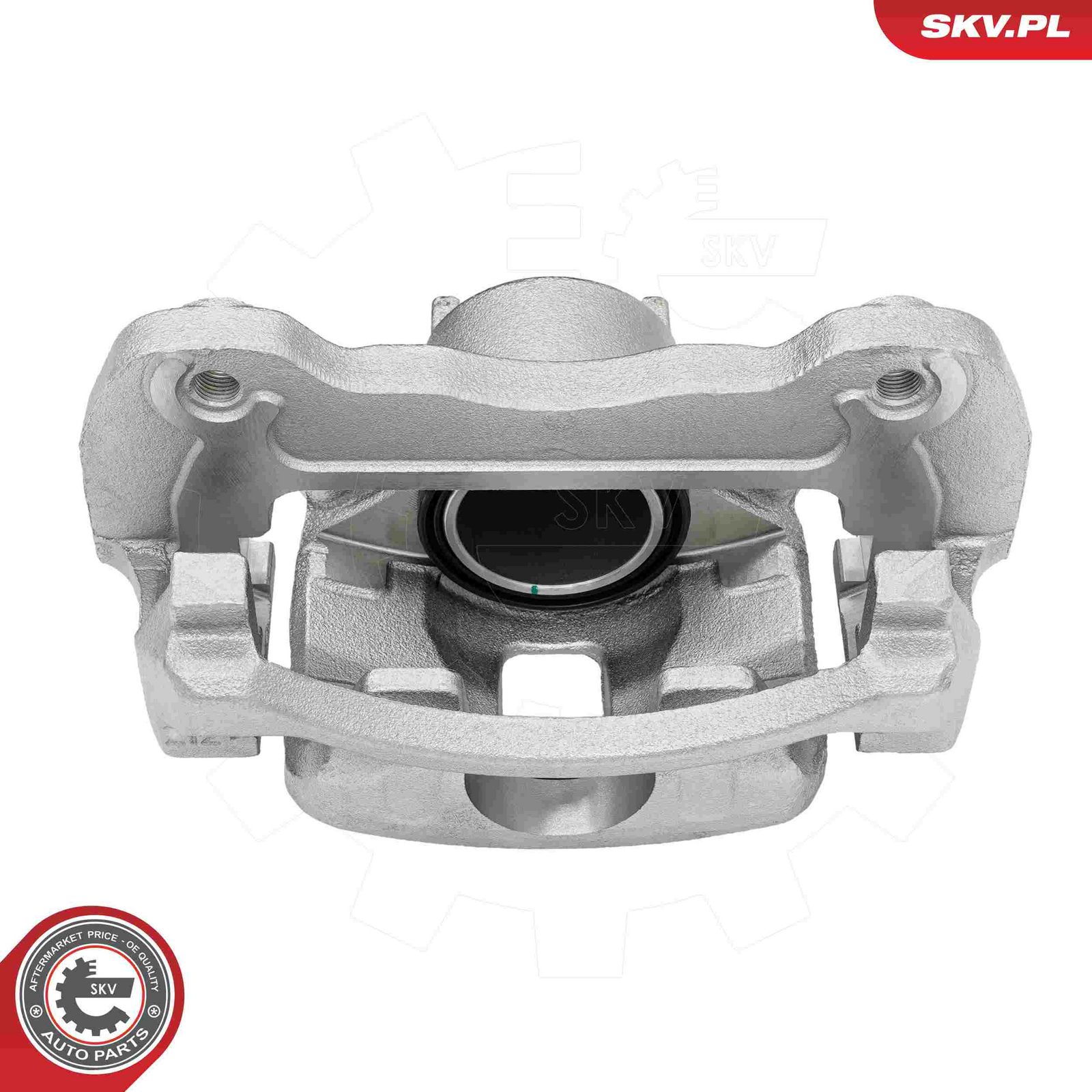 Brake Caliper-2
