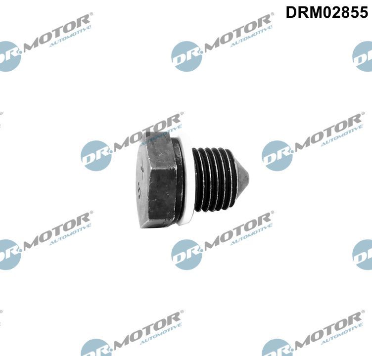 Screw Plug, oil sump