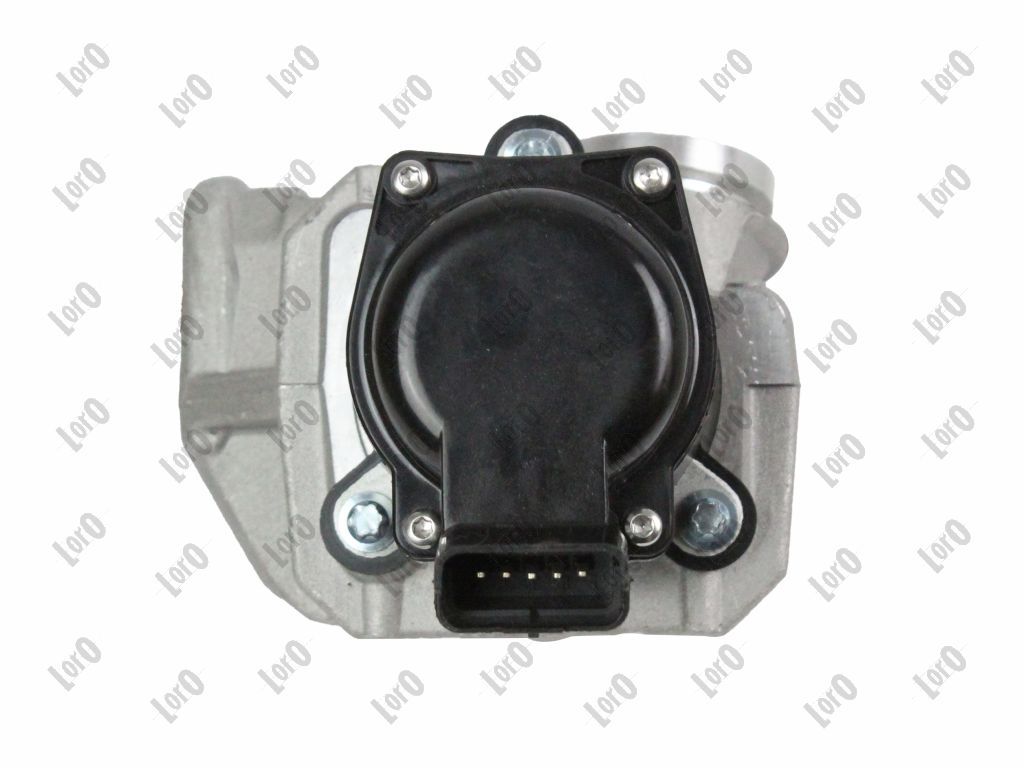 EGR Valve-5