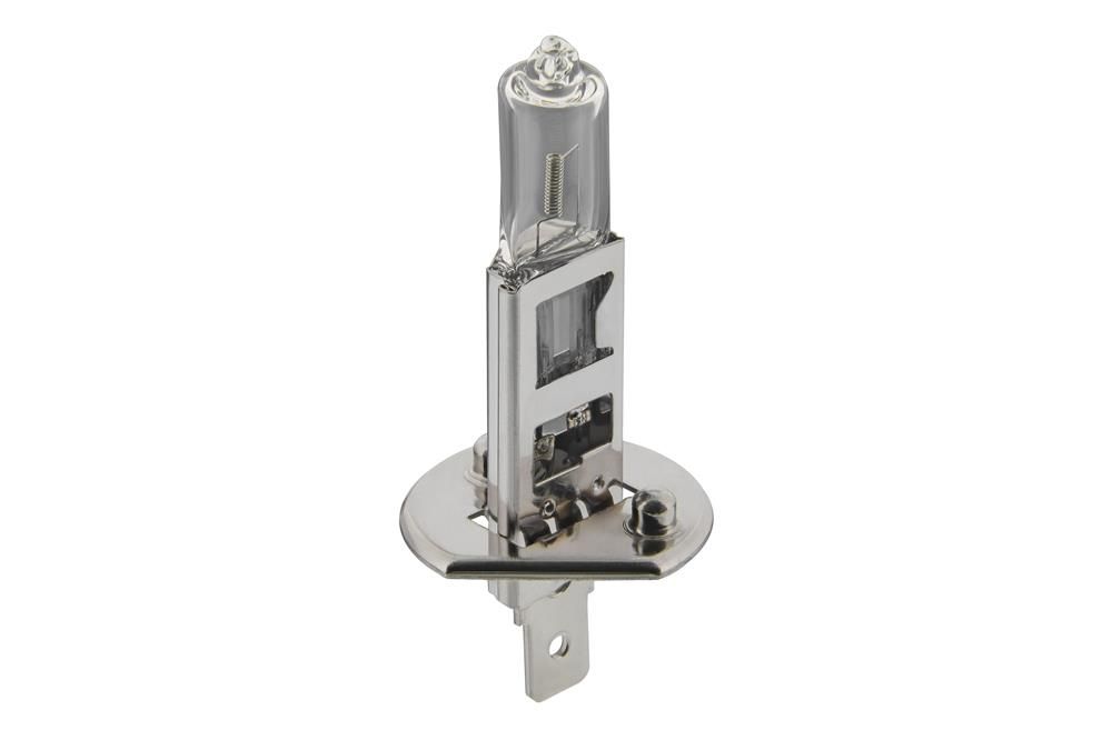 TOPRAN 109 100 Bulb, headlight