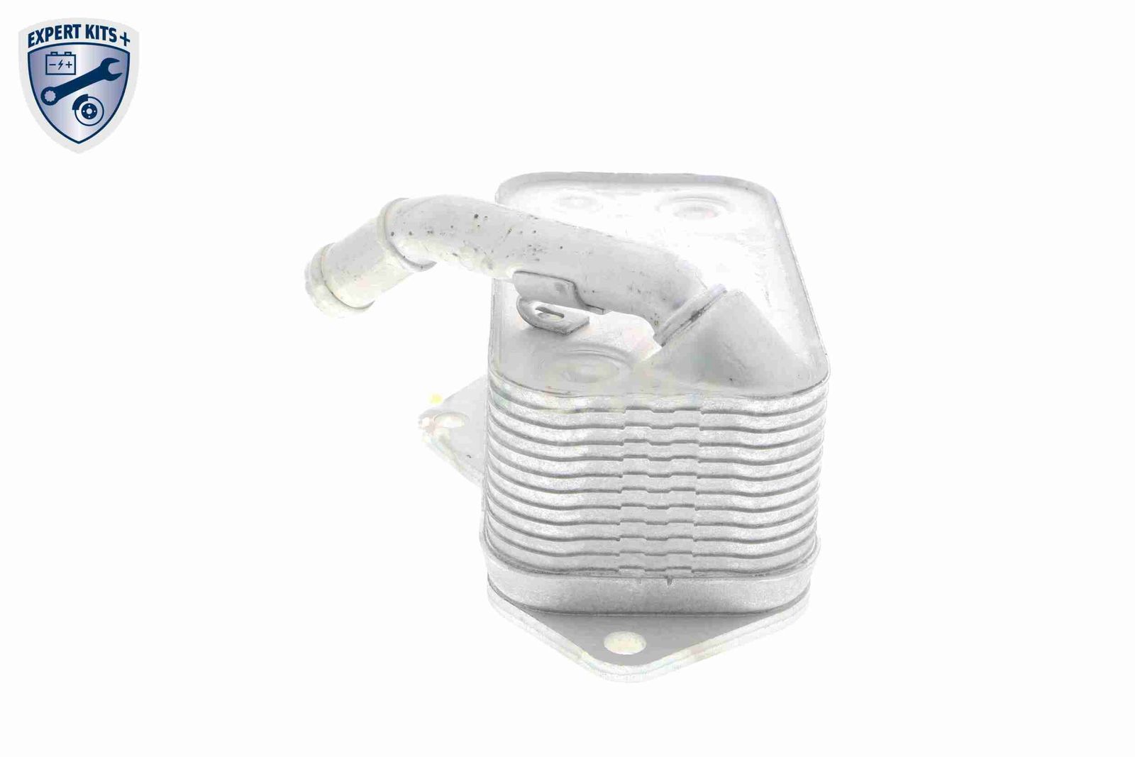 Oil Cooler, engine oil-4