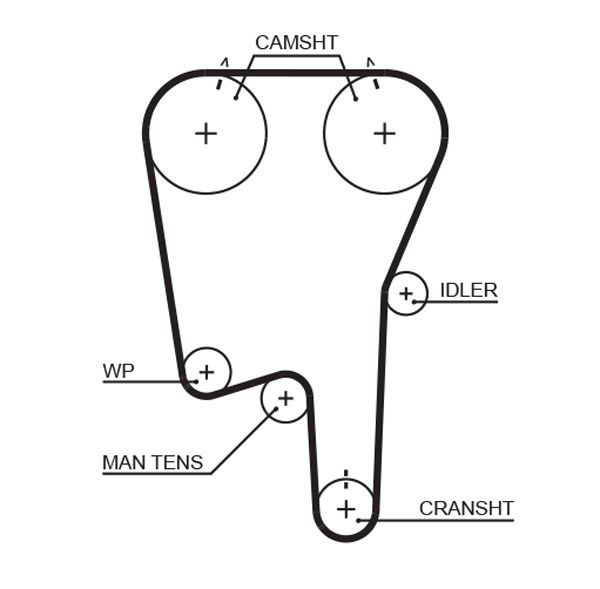 Timing Belt
