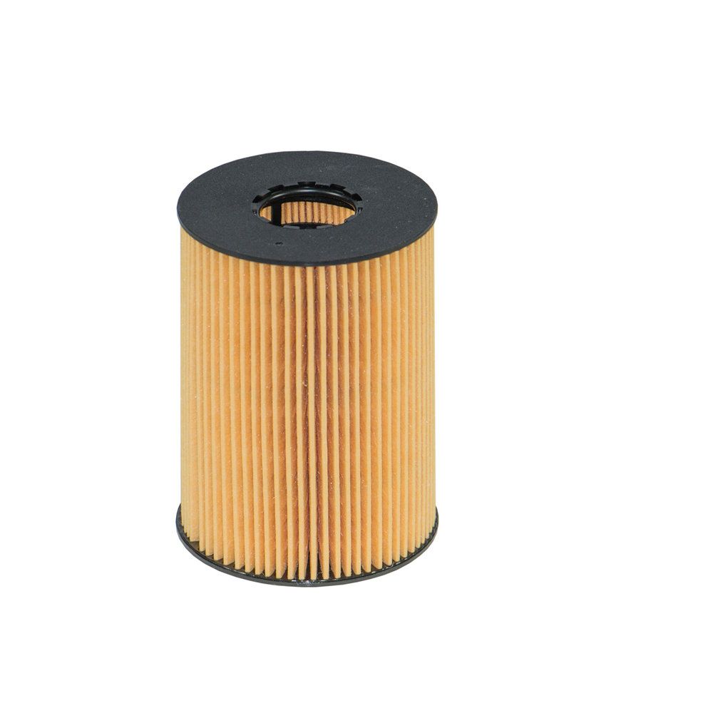 FILTRON OE 669/1 Oil filter