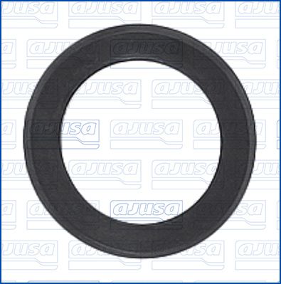 Seal, injector holder-1
