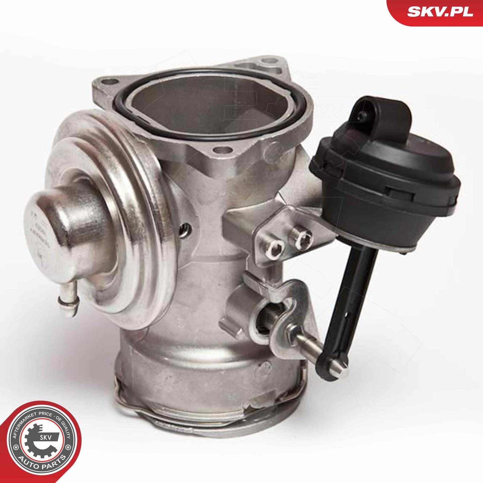 EGR Valve-3