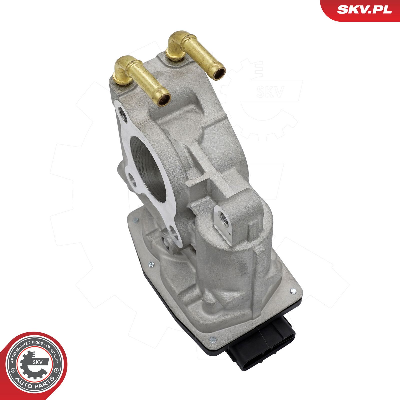 EGR Valve-2