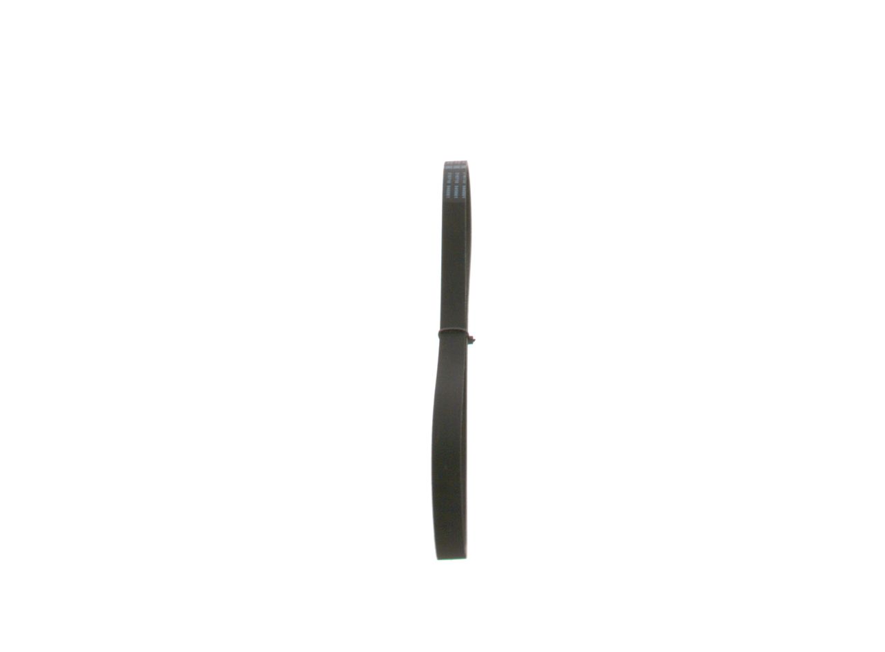V-ribbed Belt-3