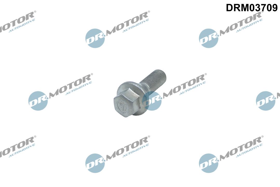 Wheel Bolt