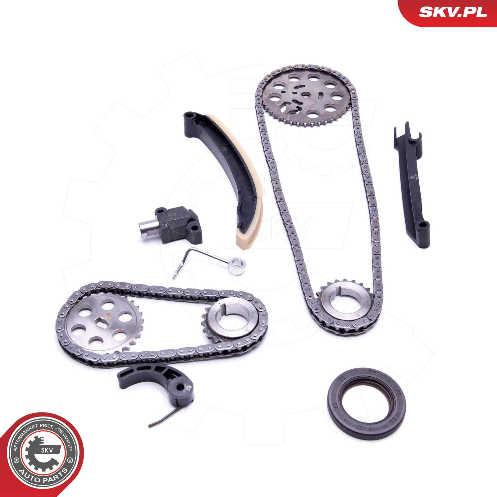ESEN SKV 21SKV209 Timing chain kit