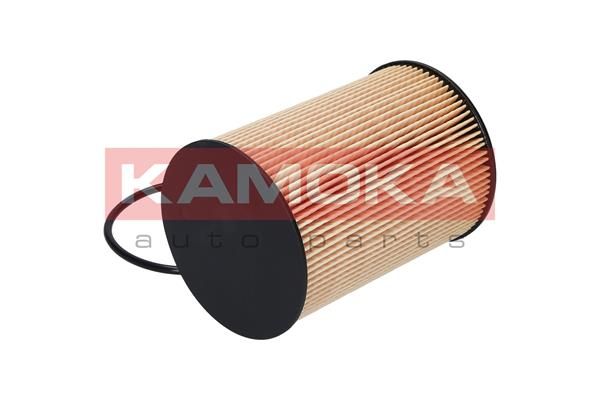 Fuel Filter-2