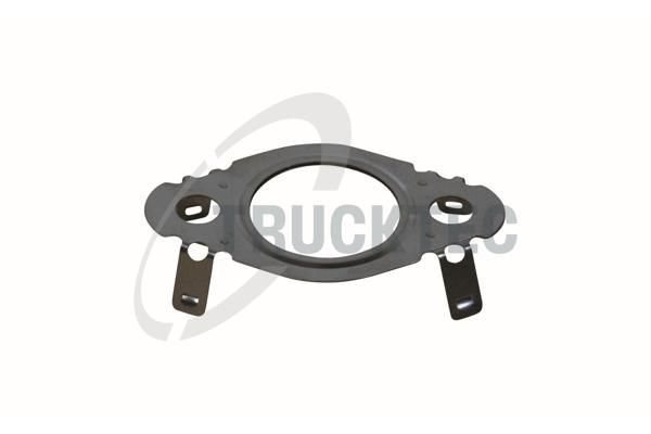 Gasket, EGR valve