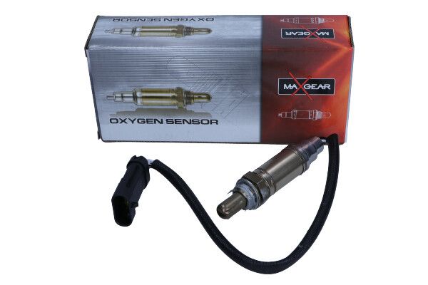 Oxygen Sensor-1