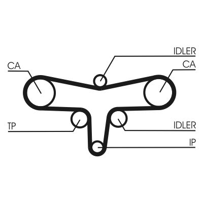 Timing Belt-1
