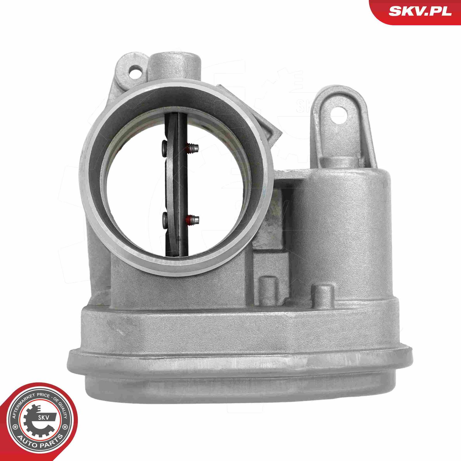 Throttle Body-1