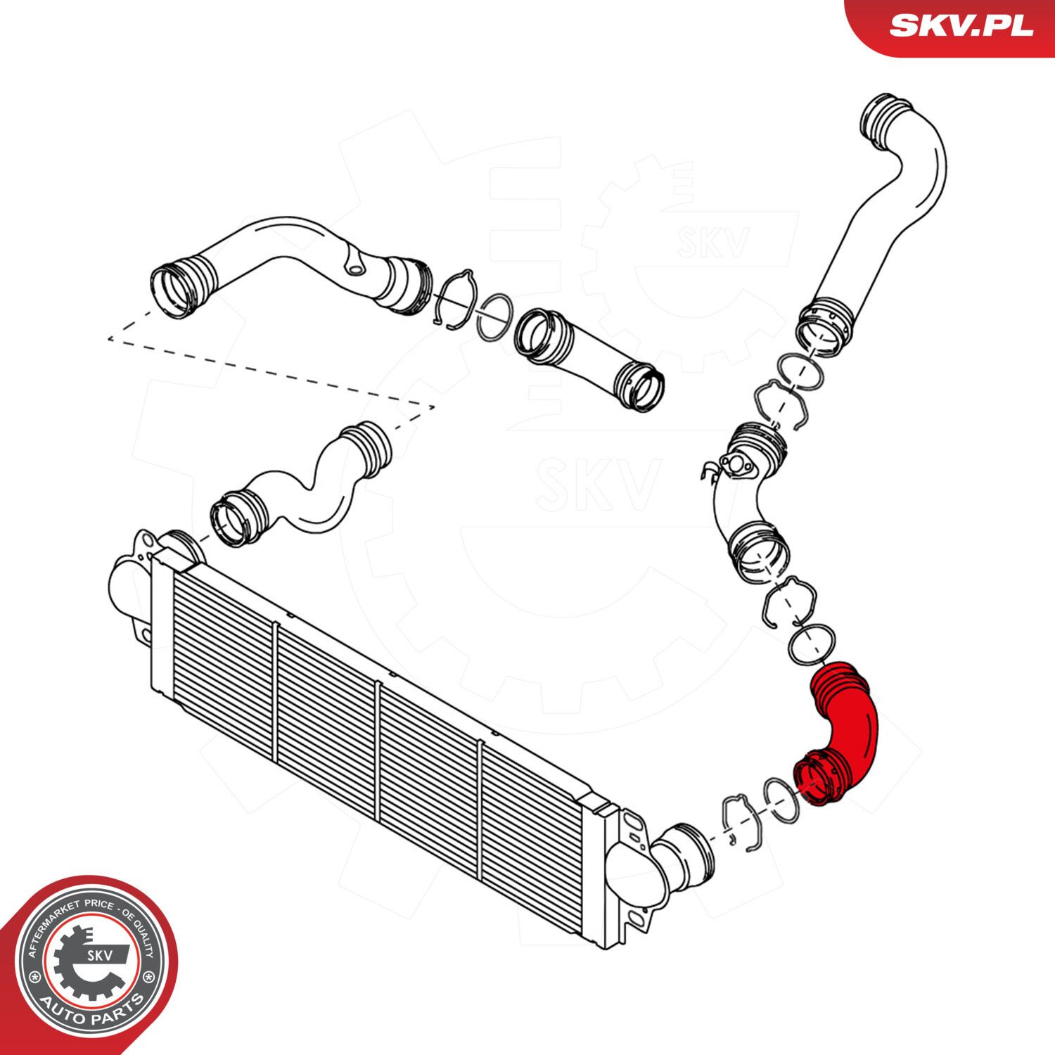 Charge Air Hose-2